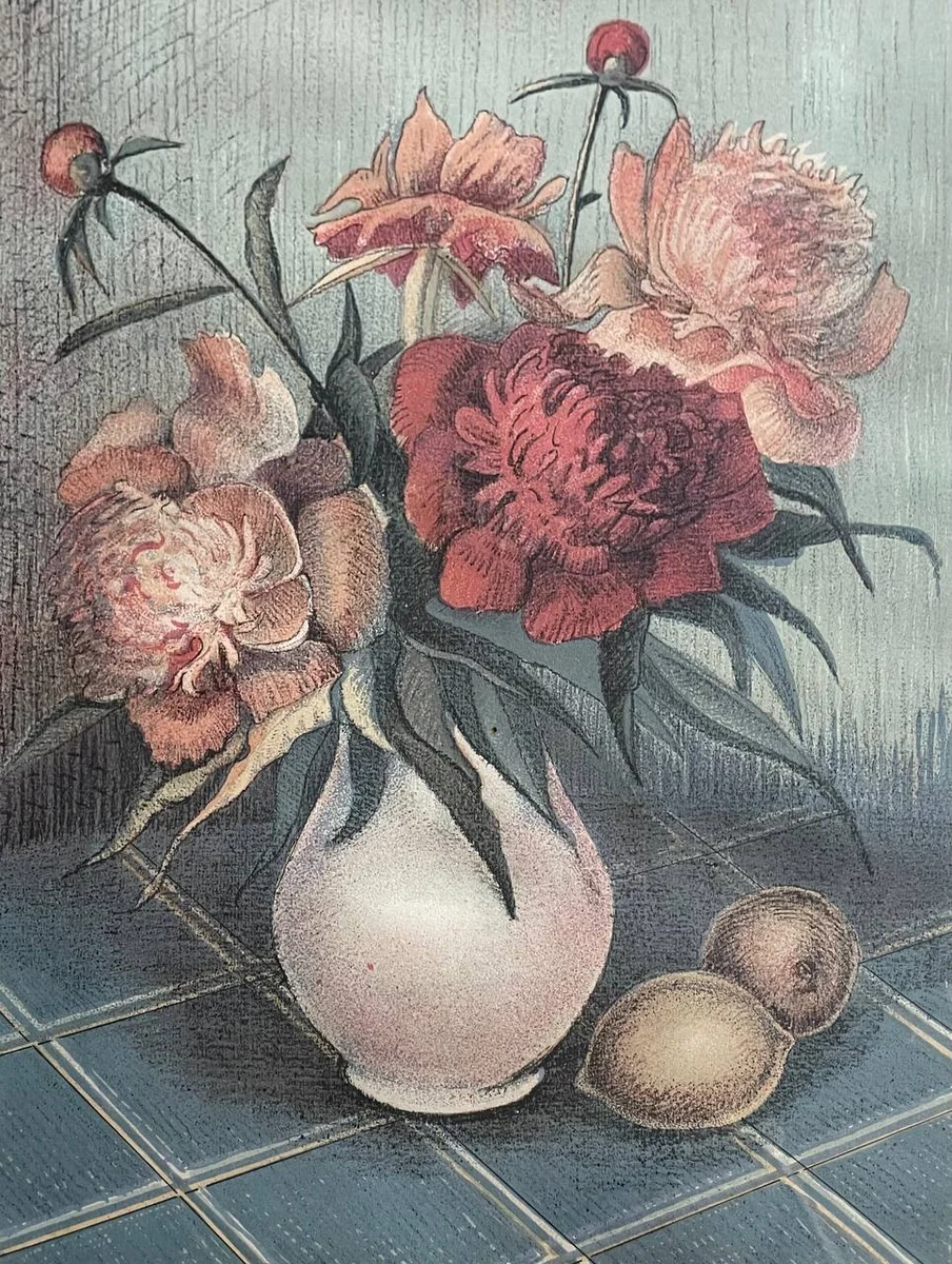 Пионы (1976). Аносова М.